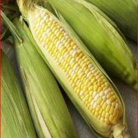 Baked or Microwave Corn on the cob_image