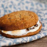 Toasty Campfire Cookies_image