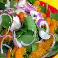 Baby Spinach Salad with Mandarin Orange and Red Onions_image