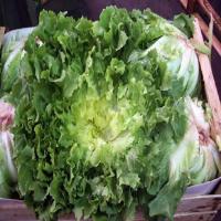 Escarole Salad with Maple Vinaigrette_image