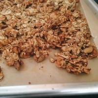 Savory Nut and Seed Granola_image