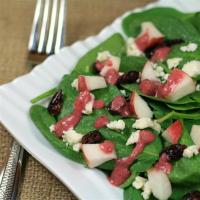 Spinach Salad with Pomegranate Cranberry Dressing image
