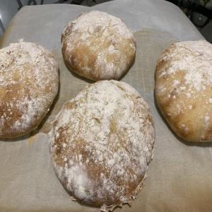 Ciabatta Italian Bread_image