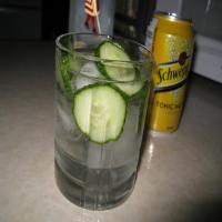 Cucumber Gin and Tonic image
