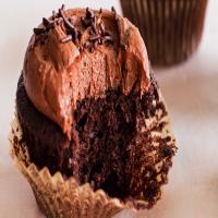 Double Chocolate Cupcakes_image