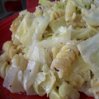 Polish Pasta and Cabbage image