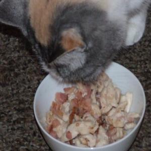 Bacon and Chicken Stir-Fry for Your Cat_image