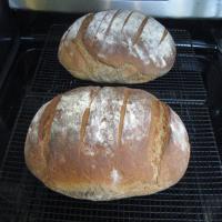 Authentic German Bread (Bauernbrot)_image