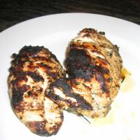 Grilled Chicken Breasts With Chimichurri Sauce_image