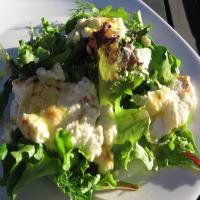 Spanish Tapas - Grilled Goat's Cheese on Bed of Lettuce_image
