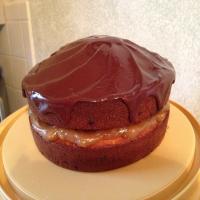 Chocolate Chip Cake With Chocolate Glaze_image