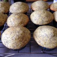 Lemony Poppy Seed Muffins_image