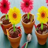 Ice Cream Flower Pot Desserts image