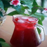Blueberry Cordial_image