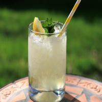 Vodka Lemonade with Mint_image