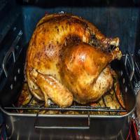 Thanksgiving Turkey Dry Brine image