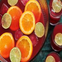 Holiday Cranberry Punch_image
