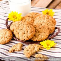 Diabetic Oatmeal Peanut Butter Cookies_image