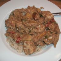 Indian Style Chicken with Apples_image