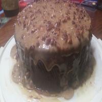 Bourbon-Chocolate Cake With Praline Frosting image