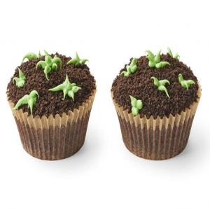 Sprouting Brownie Cupcakes image