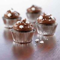 Double Chocolate Cinnamon Mini Cupcakes (Gluten-Free Recipe)_image
