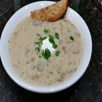 Mushroom and Chicken with Sour Cream Soup_image