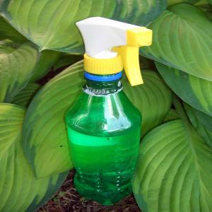 All-Natural All-Purpose Cleaning Spray_image