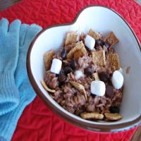 S'mores Oatmeal for One image