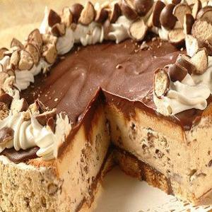 Frozen Chocolate-Covered Cappuccino Crunch Cake_image
