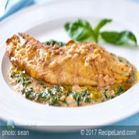 Snapper with Basil Cream Sauce_image