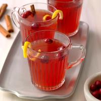 Warm Cider Cranberry Punch image