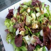 Simple Salad (Sangchu Kutjuri)_image