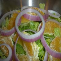 Orange and Red Onion Salad_image