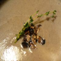 New England Soup Factory's Creamy Wild Mushroom Soup image