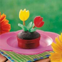 Flowerpot Cupcakes image