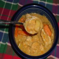 Tangy Apple Curry Chicken and Veggie Stew_image