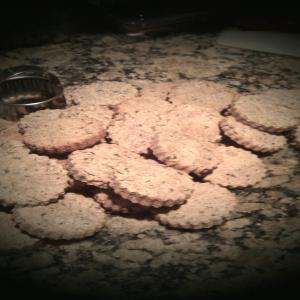 Parsley Kisses - Homemade Dog Cookies_image