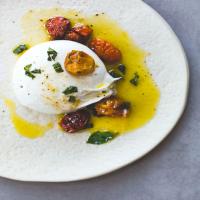 Burrata Cheese Recipe with Roasted Cherry Tomatoes_image