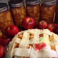 Canned Apple Pie Filling image