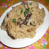 Risotto With Dried Wild Mushrooms_image