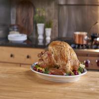 White Cranberry Brined Turkey_image