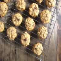Super Healthy Oatmeal Raisin Cookies Recipe - (4.7/5)_image