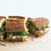 Chicken and Marinated-Zucchini Sandwich image