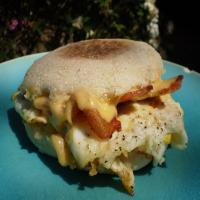 Nif's Breakfast to Go (Sandwich) OAMC_image