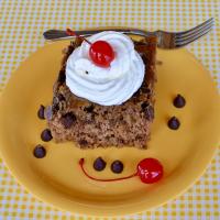 Chocolate Chip Oatmeal Cake_image