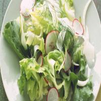 Fennel, Escarole, and Radish Salad image