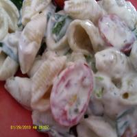 Salmon Shell Pasta Salad image