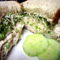 Chicken Salad & Cucumber Sandwich_image