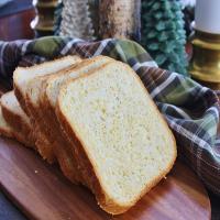 Dr. Michael's Yeasted Cornbread_image